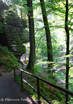 Wildbach böhmische Schweiz