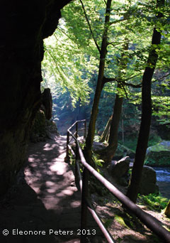 Wildbach böhmische Schweiz