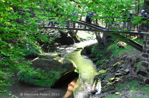 Wildbach böhmische Schweiz
