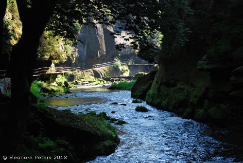 Wildbach böhmische Schweiz