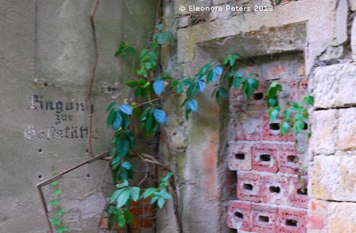 Ruine