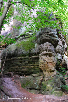 Felsen