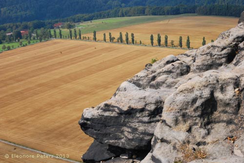 Auf dem Lilienstein
