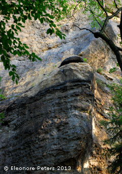 aufsteigende Felsen