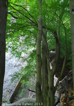 Felsen am Weg zum Prebischtor