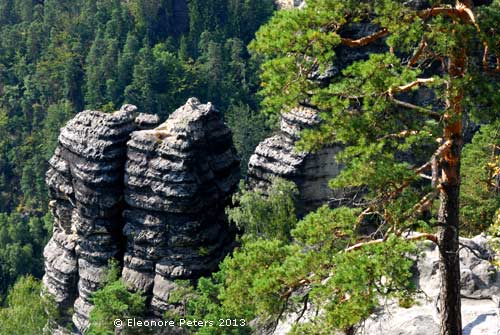 Prebischtor Felsen