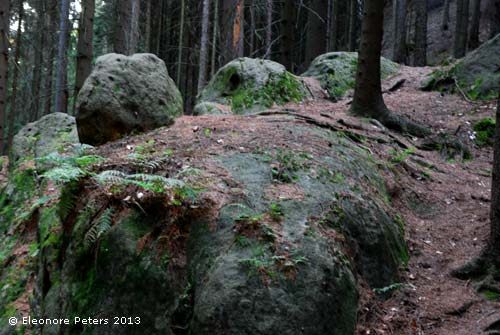 große Steine im Wald