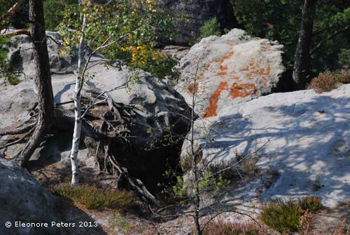 Kalksteine mit rotem Laub