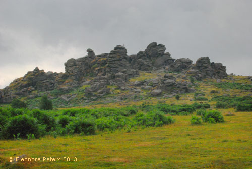 Dartmoor Felsen