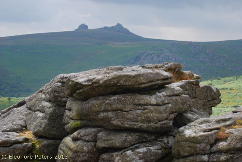 Dartmoor Felsen 
