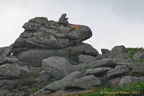 Dartmoor Felsen