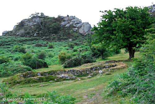 Dartmoor Felsen
