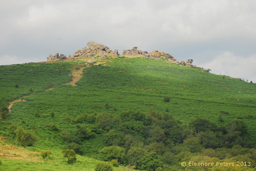 Dartmoor Felsen