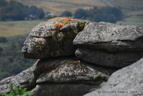 Dartmoor Felsen