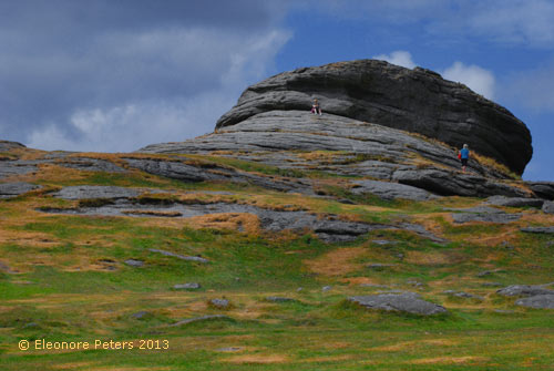 Dartmoor Felsen