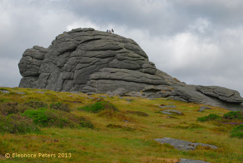 Dartmoor Felsen