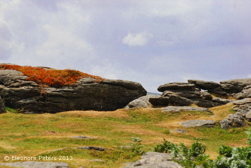 Dartmoor Felsen