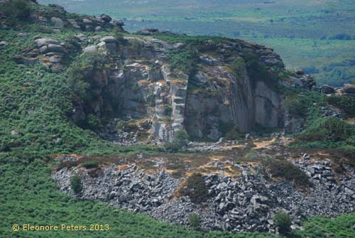 Dartmoor Steinbruch