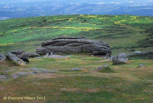 Dartmoor Steinkreis