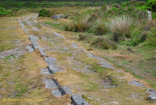 Dartmoor Transportweg für Steine