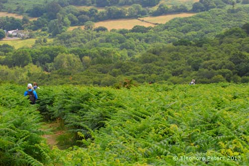 Dartmoor 