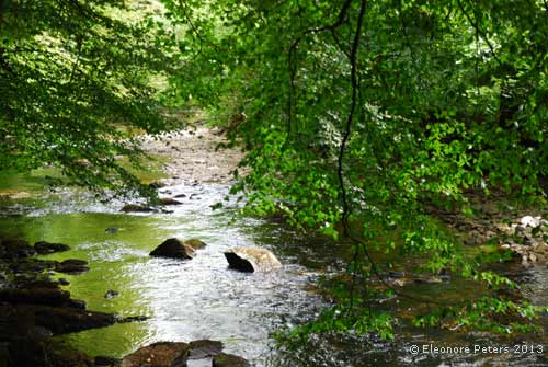 Exmoor Bach