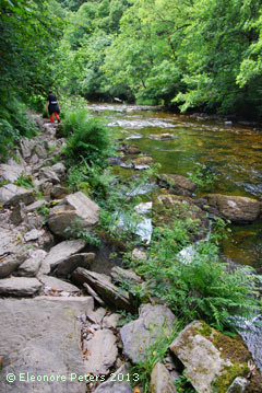 Exmoor Bach