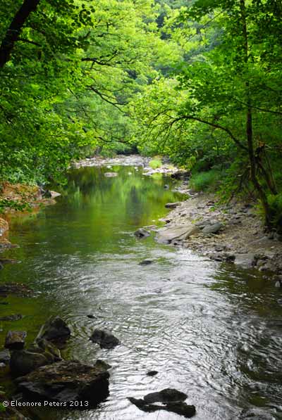 Exmoor Bach