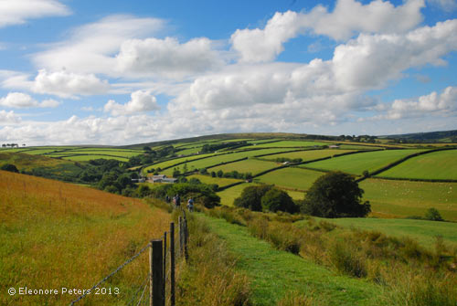 Felder am Rande von Exmoor