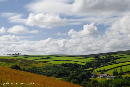 Felder am Rande von Exmoor