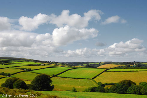 Felder am Rande von Exmoor