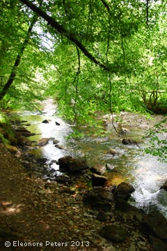 Exmoor Bach