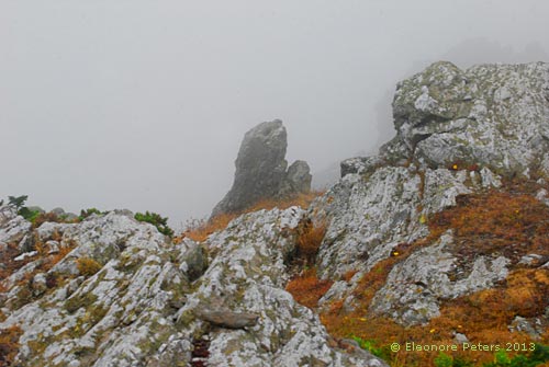 Felsen am Wanderweg von Salcombe nach Hope