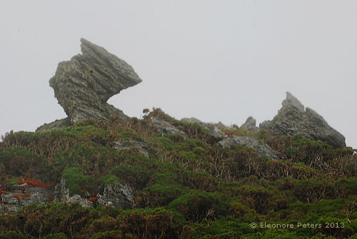 schiefer Turm - Felsen am Wanderweg von Salcombe nach Hope