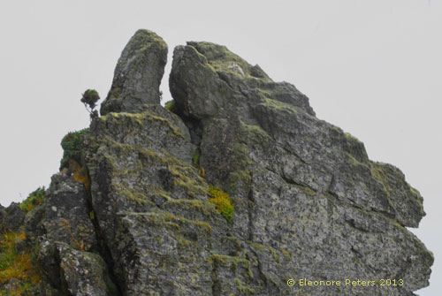 Felsen am Wanderweg von Salcombe nach Hope 