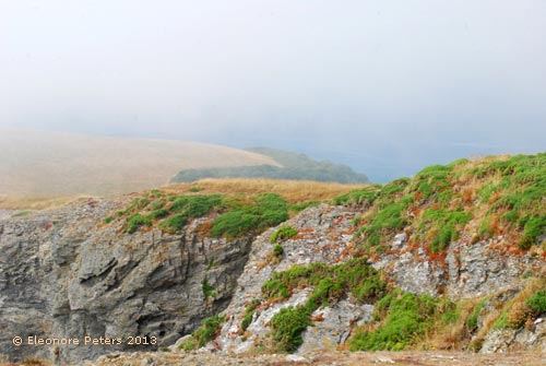 Wanderweg an der Küste von Salcombe nach Hope