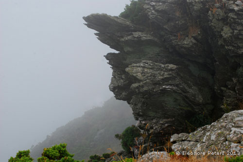 bizarrer Fels am Wanderweg von Salcombe nach Hope