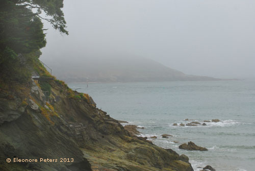 bei Salcombe