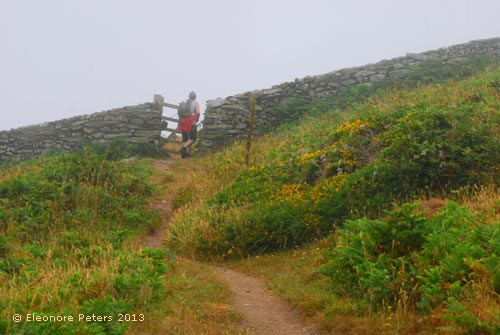 Wanderweg an der Küste von Salcombe nach Hope