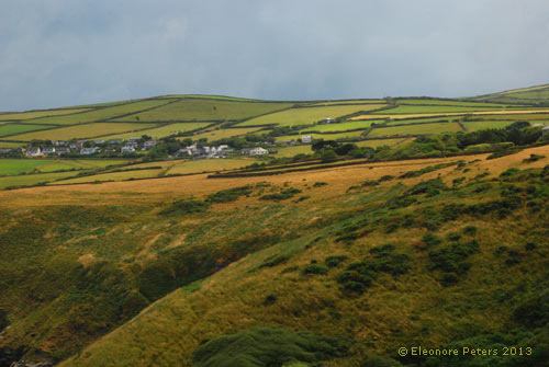 Felder am Küstenweg von Tintagel nach Boscastle