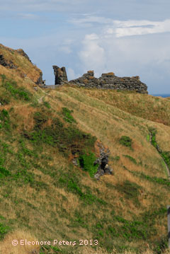 Ruine Tintagel Castle
