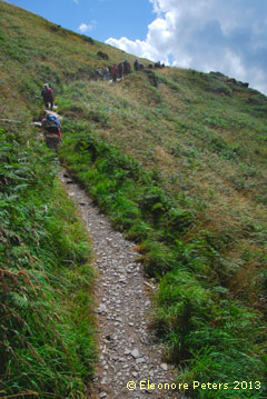 Wanderweg von Tintagel nach Boscastle