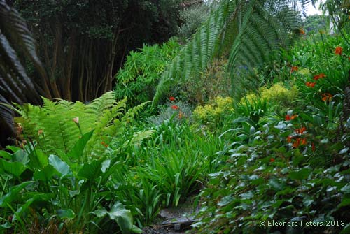 Trebah garden