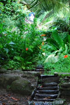 Trebah garden