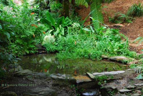grüne Oase im Trebah garden