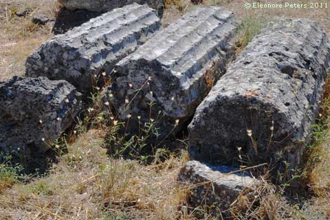 Epidauros antike Säulen im Gras