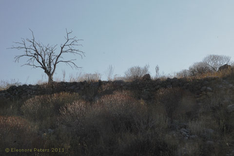 Wanderweg nach Itea