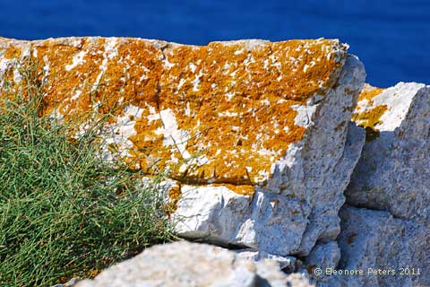 Felsen mit Flechten