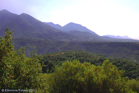 Berge