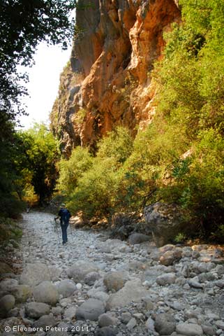 Taygetosschlucht